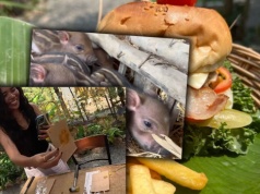 Polak otworzył nietypowy lokal na drugim krańcu świata. Postawił na coś więcej niż jedzenie