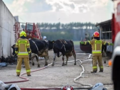 Dramat po pożarze. Rolnicy walczą o odbudowę gospodarstwa