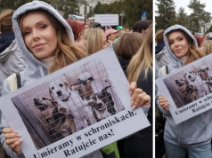 Ten protest coś zmieni? Doda się nie poddaje: Musimy uczyć ludzi odpowiedzialności!