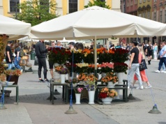 „Turyści nie kupują kwiatów”. Co dalej z krakowskimi kwiaciarkami?