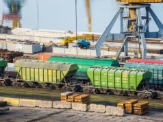 To może być nowy hit eksportowy. Polskie białko z owadów wchodzi do USA