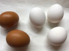 Tak gotuje jajka przed farbowaniem. Już po 10 minutach są śnieżnobiałe