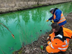 Rzeka w Łodzi przybrała zielony kolor. Wiadomo, kto jest sprawcą