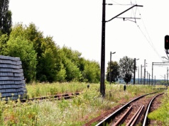 Liberałowie wstydzą się za wyborców PiS, wyborcy PiS — za liberałów. Oto polaryzacja po polsku