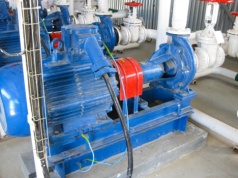 Zestawy hyroforowe – przeczytaj, zanim kupisz!