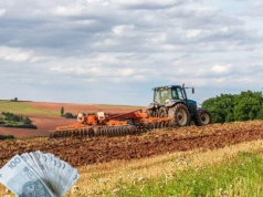 KOWR wydzierżawi ponad 100 ha ziemi na Dolnym Śląsku. Jaki czynsz?