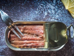 Ta ryba w puszcze jest najzdrowsza. Nie chodzi o tuńczyka czy sardynki