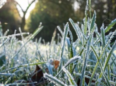 Przymrozki wracają. IMGW ostrzega przed nocnym spadkiem temperatur