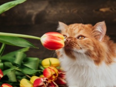 Pogoda na weekend | W sobotę słońce, w niedzielę deszcz