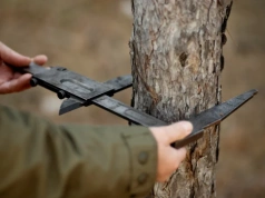 Wycinka drzewa działce. Jest mniej zakazów, ale to nie znaczy, że można wszystko