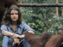 Trzecia z Trimates nie żyje. Była legendą ochrony orangutanów