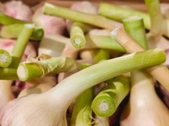 Pojawił się w sklepach. Ma słodszy smak i poprawia odporność