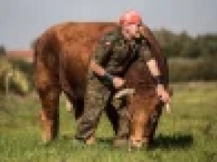 Gospodarstwo Romka Zaklinacza Byków wystawione na licytacji komorniczej