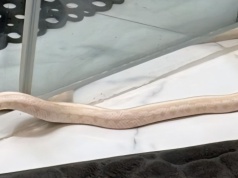 Czas na quiz. Co się działo w marcu?