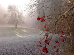Nagłe załamanie pogody w Polsce! Wiosna zniknęła, wraca chłód i… śnieg