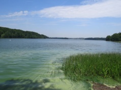 Ukryta perła na Kaszubach. Tylko 10 km od Gdańska, a na miejscu cisza i spokój
