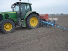 Kiedy siać kukurydzę? Kluczowa głębokość i temperatura gleby