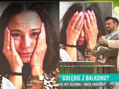 Mucha w "PnŚ" o walce z gołębiami. "To jest koszmar". Padły niecenzuralne słowa