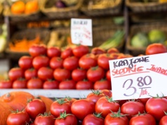 Pomidor: owoc czy warzywo? Większość Polaków daje się nabrać