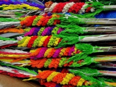 Takiej Niedzieli Palmowej nie było od dawna. Co na to prawo