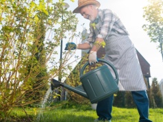 Zagotuj i podlej grządki. Turkuć podjadek wyniesie się do sąsiada