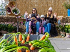 Jarmark w al. Kwiatowej zaprasza