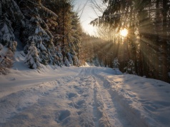 Beskidy: zimowa aura w górach sprawia, że warunki na szlakach są bardzo trudne