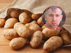 Jeszcze nie posadzili, a cena już spadła o 30%. Rolnik: mam to robić za darmo?