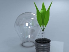 Ty też zgaś dziś światło! Częstochowa przyłączy się do akcji „Godzina dla Ziemi” WWF