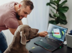 Wpuszczanie psów do firmy bez przygotowania to proszenie się o kłopoty prawne