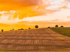 Nowa spółka oligarchy połyka konkurencję. Właśnie powiększyła areał do 190 tysięcy hektarów