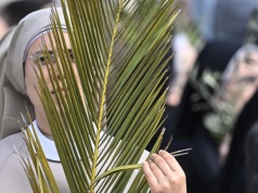 Dlaczego Jezus wjechał do Jerozolimy na osiołku?