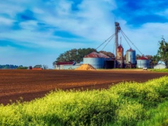 Rolniczka odrzuciła ofertę zakupu gruntów za 26 milionów dolarów. I wzywa innych, żeby nie dali się skusić