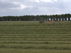 Śmierć właściciela ziemi – co z dzierżawą i czynszem?