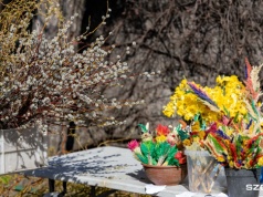 Katolicy upamiętniają uroczysty wjazd Jezusa do Jerozolimy