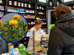 Wcale nie oliwa z oliwek. Jest lepszy i tańszy olej dla seniorów