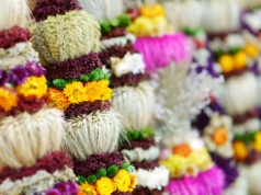 Niedziela Palmowa otwiera w Kościele Wielki Tydzień, który wieńczy Triduum Paschalne