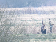 MKiŚ: Koniec rzezi ptaków tuż za granicą Parku Narodowego „Ujście Warty”