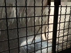 Poszukiwany za oszustwo - na policjanta - zatrzymany w Jeleniej Górze