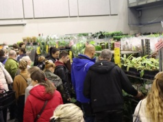 Kraków znów przyciągnie miłośników zieleni. Festiwal Roślin nadchodzi