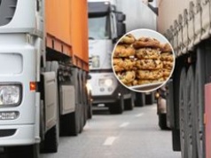 Transport z Egiptu zatrzymany. To miało trafić do sprzedaży w Polsce