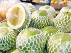 Dlaczego pomelo jest zawsze w siatce? Tego się nie spodziewałeś