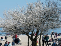 Nad Bałtykiem zaczęli odliczanie. Szykuje się najazd turystów