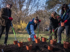 Nowe pole różane na Polu Mokotowskim. Zasadzono ponad 30 odmian kwiatu