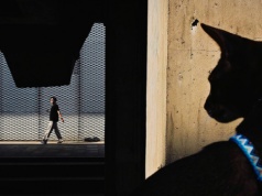 Mobile Photography Awards 2025 - zobacz najlepsze zdjęcia wykonane smartfonami. Polacy wśród nagrodzonych