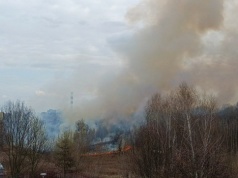 Pożar traw przy ul. Bursztynowej w Lublinie. Trwa akcja strażaków