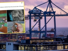 Odkryli wrak okrętu wojennego sprzed ponad 200 lat. Trwa wyścig z czasem