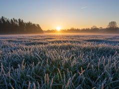 Pogoda na Wielki Piątek. Najpierw przymrozki, później nawet 13 stopni Celsjusza