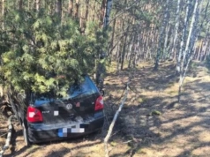 Sam zgłosił zdarzenie. Policja ustaliła, że był pijany i bez uprawnień