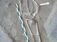 Cmentarzysko w Pniu może być największą w Polsce nekropolią osób odrzuconych